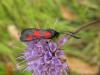 92231 – Photo : jeromebubu – France (47)