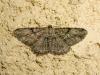 92755 – Photo : jeromebubu – France (47)