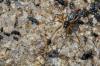 92469 – Photo : Christophe Quintin – France (21)