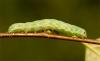 92651 – Photo : Pelouard – France (72)