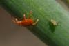 92729 – Photo : Phil – France (40)