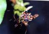 92552 – Photo : Sabatino Ugo – France (84)