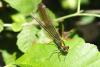 93268 – Photo : Nicolas Alric – France (12)