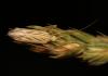 93949 – Photo : Vincent Derreumaux – France (07)