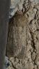 93367 – Photo : David GENOUD – France (11)