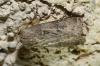 93371 – Photo : David GENOUD – France (11)