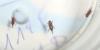 93069 – Photo : Didier – France (91)