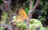 93147 – Photo : Michalke Friedrich – France (20)