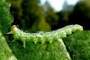93209 – Photo : Patrick Le Mao – France (35)