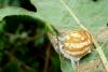 93387 – Photo : Patrick Le Mao – France (22)