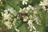 93878 – Photo : Michel Mathieu – France (14)