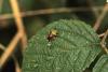 93928 – Photo : Michel Mathieu – France (14)