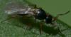 93434 – Photo : Philippe Legros – France (94)