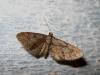 93680 – Photo : Bleusdanne – France (05)