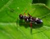 93863 – Photo : Magalie Mazuy – France (25)