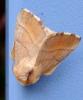93286 – Photo : Vincent VALLI – France (10)