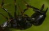 93998 – Photo : Philippe Legros – France (94)