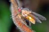 93392 – Photo : Christophe Quintin – France (21)