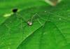 93851 – Photo : Fernando Losada – France (91)