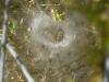 93080 – Photo : Jean-Jacques Laffitte – France (17)