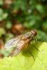 93241 – Photo : Patrick Le Mao – France (35)