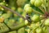 93621 – Photo : Patrick Le Mao – France (22)