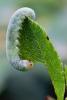 93789 – Photo : Daniel Ventard – France (05)