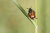 93260 – Photo : Daniel Ventard – France (05)