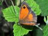 93657 – Photo : Bartolome Joseph – France (00)