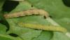 94647 – Photo : Samuel DUCEPT – France (86)