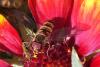 94124 – Photo : Nicolas Alric – France (12)