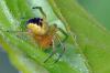 94460 – Photo : Christophe Quintin – France (21)