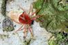94613 – Photo : Christophe Quintin – France (21)
