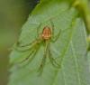 94863 – Photo : Josselyne Bayle – France (09)