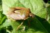 94745 – Photo : Patrick Le Mao – France (73)