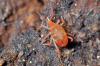 94049 – Photo : Christophe Quintin – France (21)