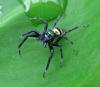 94388 – Photo : Alain BLED – Thaïlande