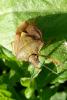 94706 – Photo : Patrick Le Mao – France (73)
