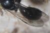 94376 – Photo : Christophe Quintin – France (21)