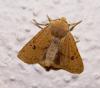 94589 – Photo : Arnaud Jean-Pierre – France (09)