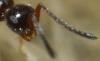 94244 – Photo : Philippe Legros – France (94)