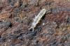 94256 – Photo : Christophe Quintin – France (21)