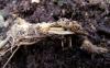 94168 – Photo : Raffaele Bocchini – Italie