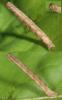 94600 – Photo : Samuel DUCEPT – France (86)