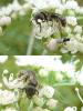 94990 – Photo : Patrick Le Mao – France (22)
