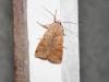 94891 – Photo : ALEXNR – France (46)