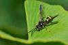 94139 – Photo : Fernando Losada – France (91)