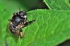 94138 – Photo : Fernando Losada – France (91)