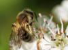 94879 – Photo : patrick derennes – France (77)