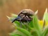 94486 – Photo : Sylvain Fadda – France (13)